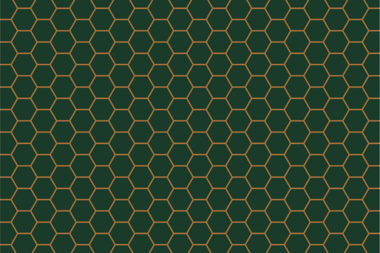 bg3
